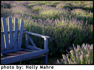 Agricultural Heritage